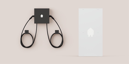 EV Dual Installation